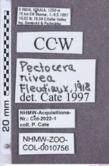 Etikette zu Ceroleptus nivea (NHMW-ZOO-COL-0010756)